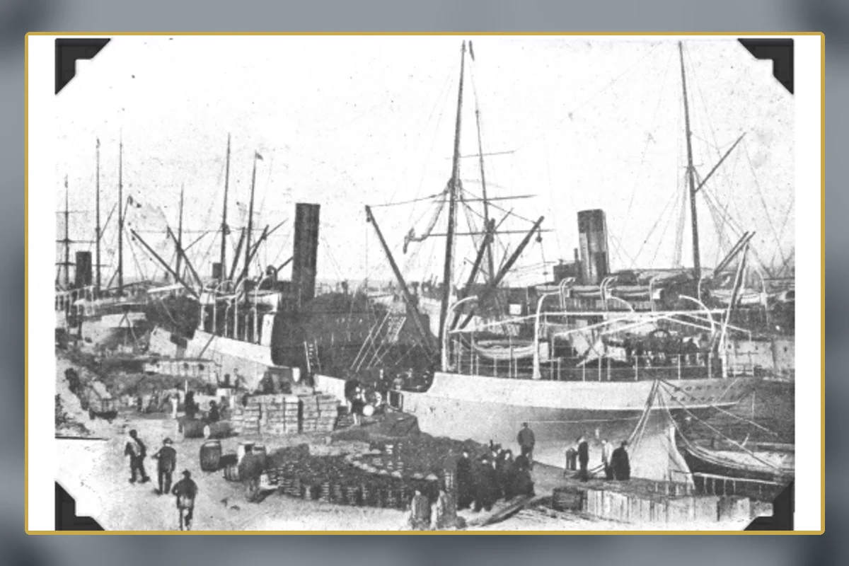 SS Mont-Blanc before the 1917 disaster