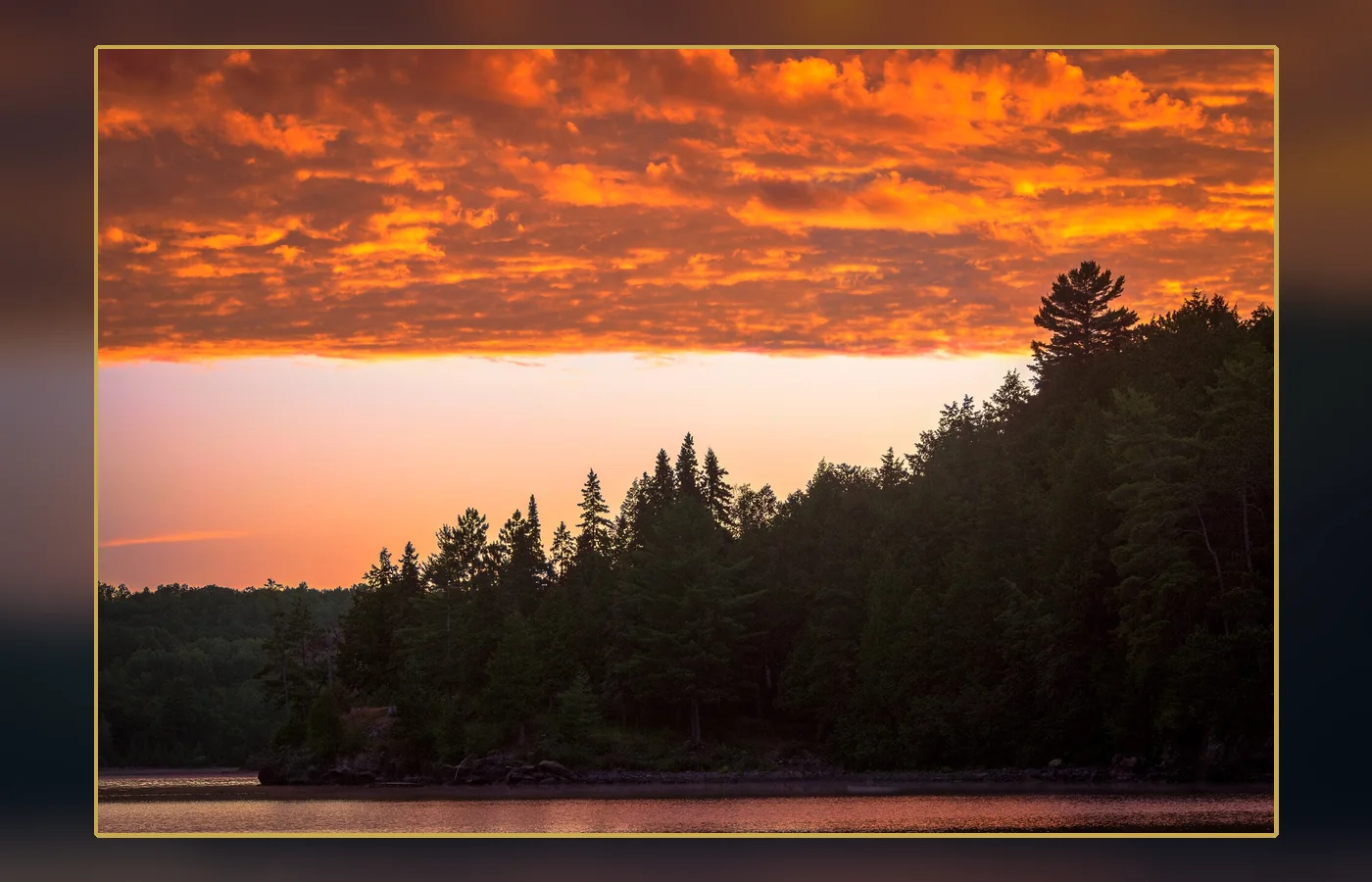Forest in Algonquin Provincial Park, the region where 1780 fire scars support the wildfire-smoke explanation