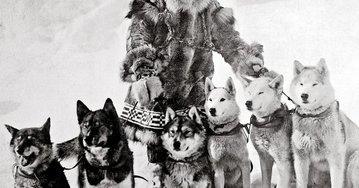Archival featured image for The 1925 Serum Run: Togo, Balto, and the Relay That Saved Nome