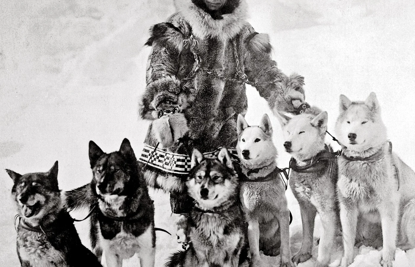 Leonhard Seppala with his sled dogs; Togo led Seppala's team on the relay's hardest long leg