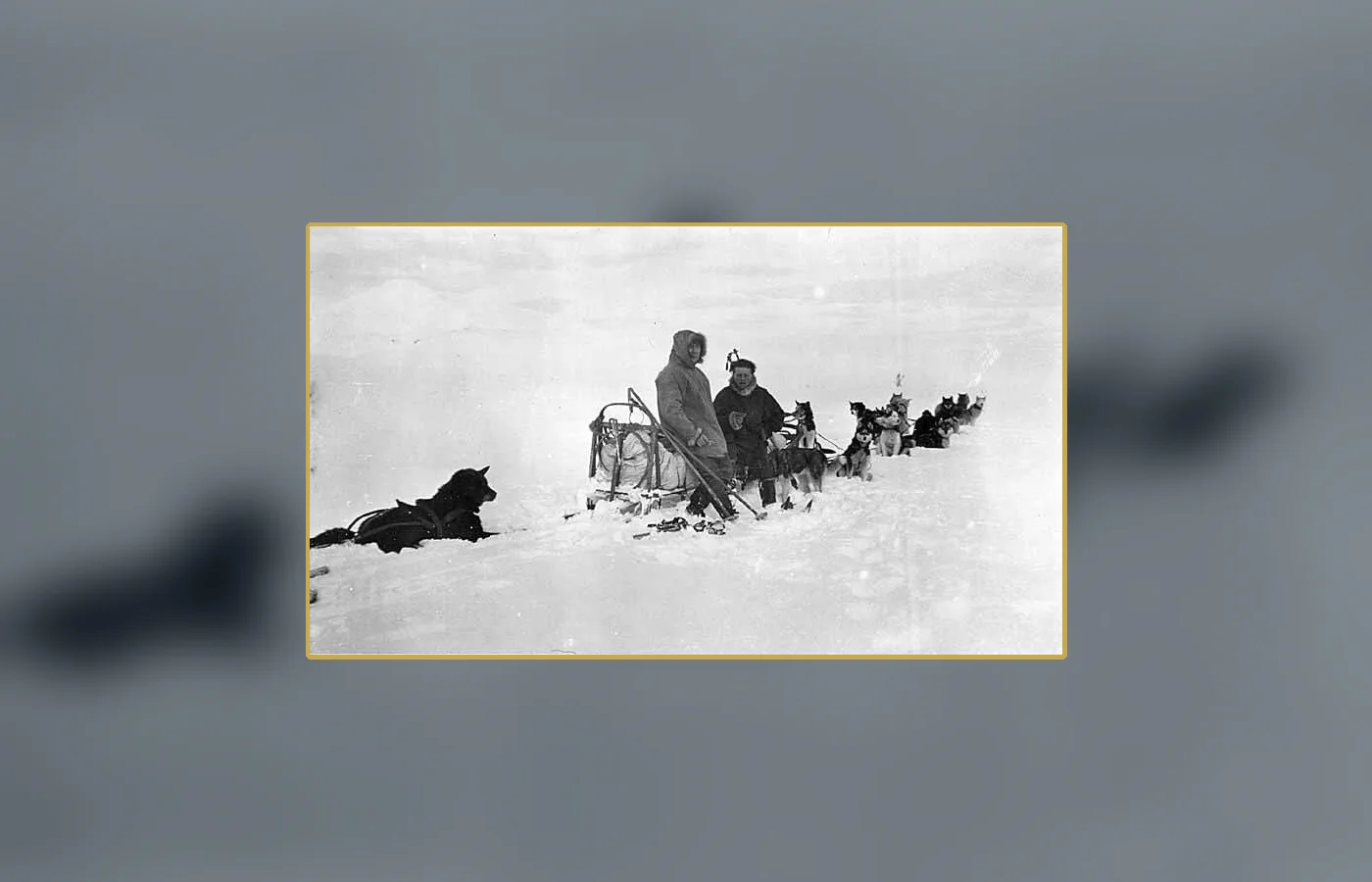 Leonhard Seppala and a dog team on a snowy trail near Nome in 1923
