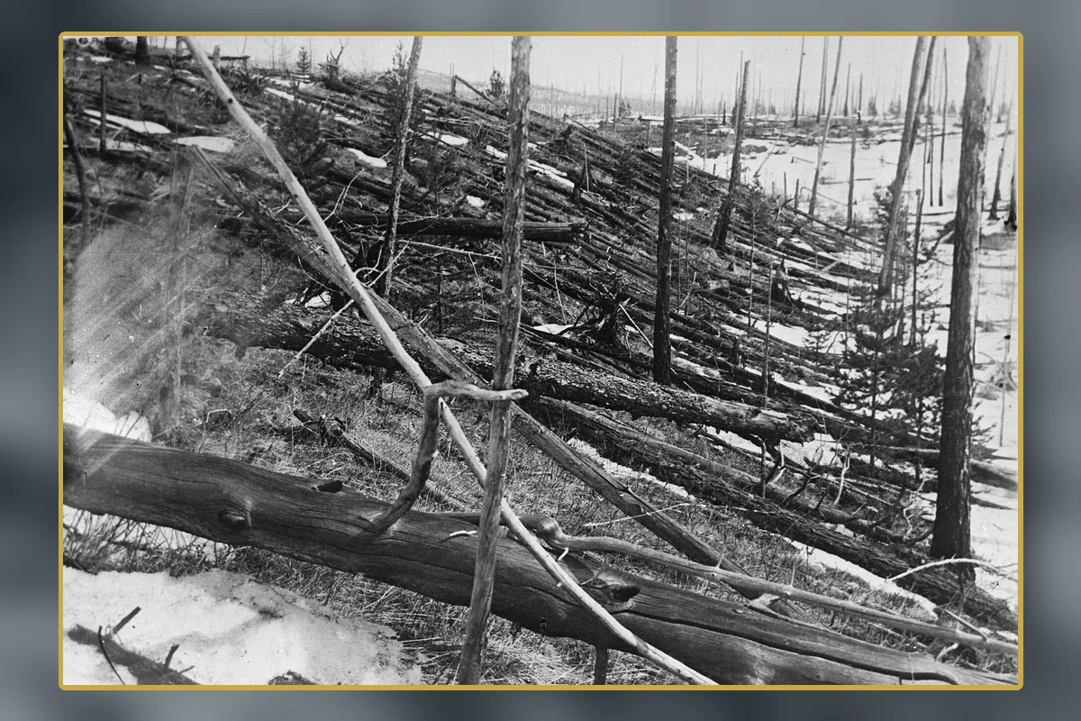 Forest damage preserved at the Tunguska site