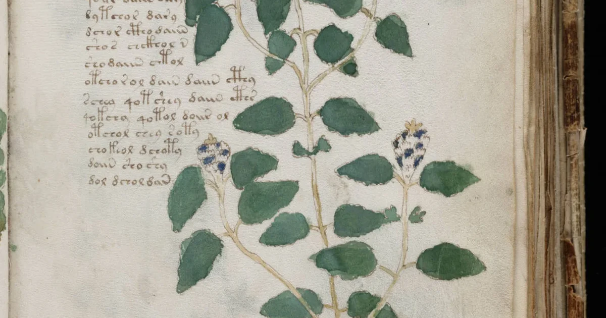 Archival featured image for The Voynich Manuscript: What We Know Before Anyone Claims to Have Solved It