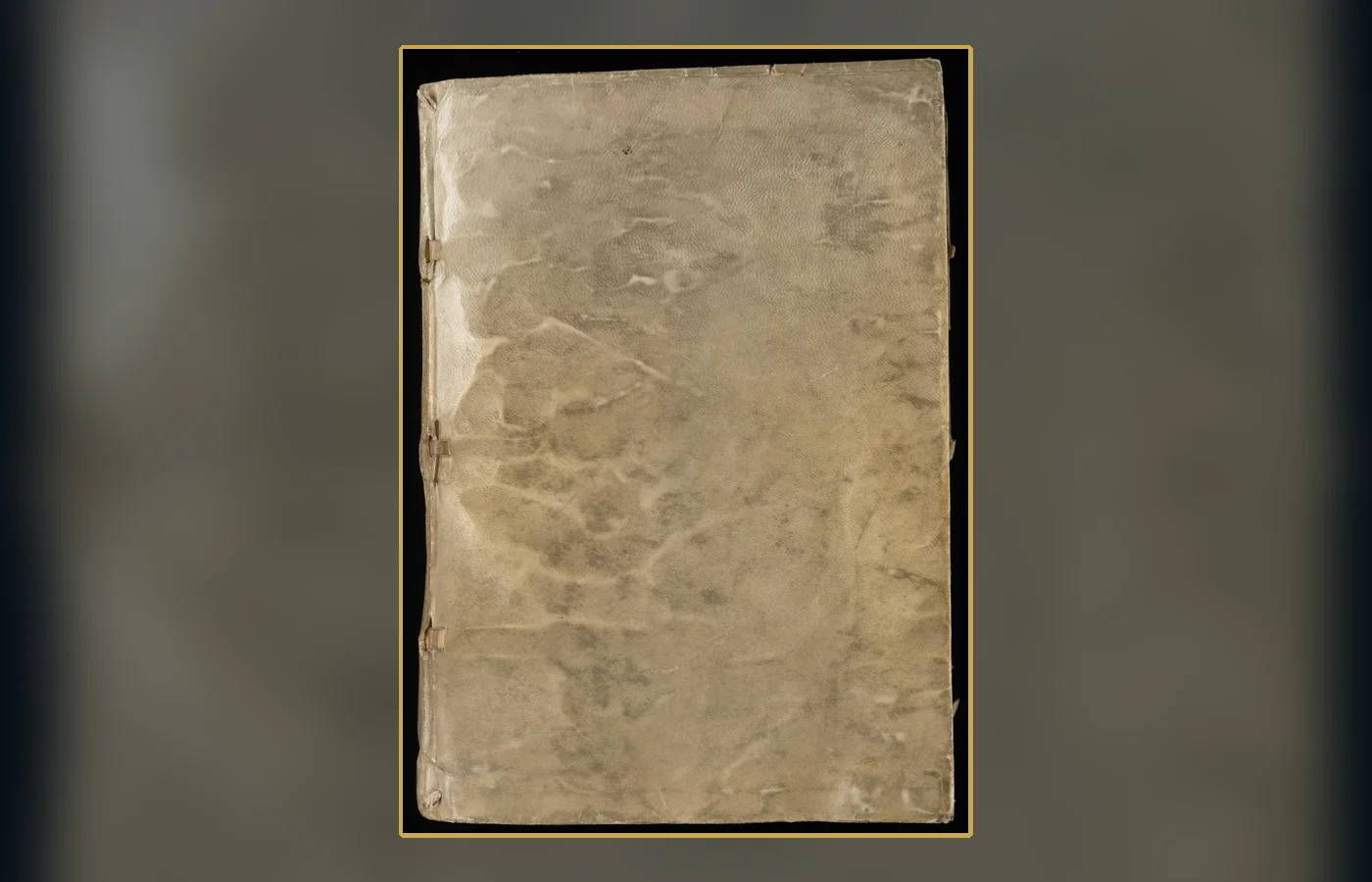 An open folio from Yale's Voynich Manuscript, Beinecke MS 408