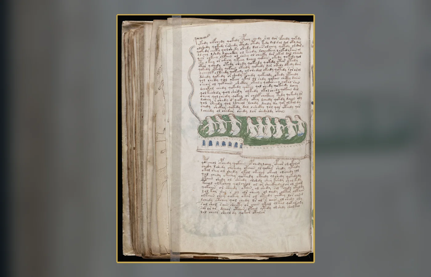 A folio from the manuscript's bathing or balneological section