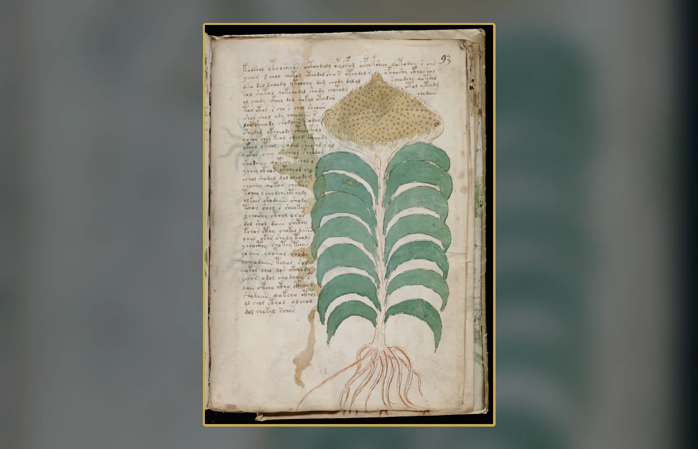 A text-and-illustration folio showing the manuscript's recurring script